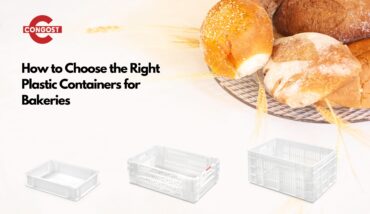 Congost Guide: How to Choose the Right Plastic Containers for Bakeries