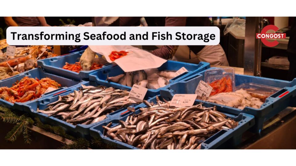 Transforming Seafood and Fish Storage: Congost’s Stackable and Nestable Containers