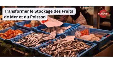 Transformer le Stockage des Fruits de Mer et du Poisson : Les Bacs Emboîtables et Gerbables de Congost