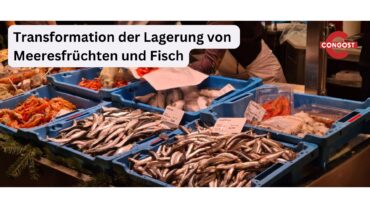 Transformation der Lagerung von Meeresfrüchten und Fisch: Die Stapelbaren und Nestbaren Behälter von Congost